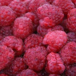 Raspberries, red, fruits — Harnessing Machine Learning for Business Success: Insights from the Stuart Piltch Program
