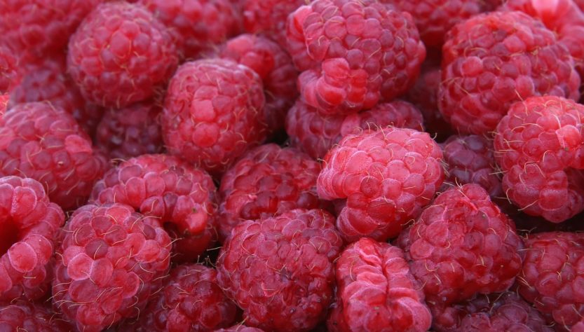 Raspberries, red, fruits — Harnessing Machine Learning for Business Success: Insights from the Stuart Piltch Program