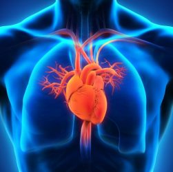 Unlocking the Mysteries: Dr Hari Saini 's Research in Cardiovascular Disorders