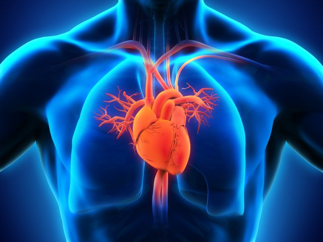 Unlocking the Mysteries: Dr Hari Saini 's Research in Cardiovascular Disorders